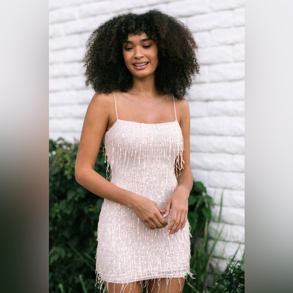 NWT Cassie Sequin Fringe Dress in Pink - Size L - Picture 1 of 10